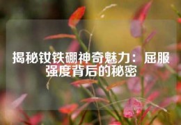 揭秘钕铁硼神奇魅力：屈服强度背后的秘密