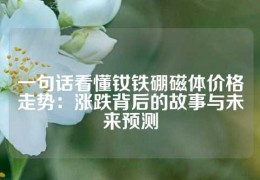 一句话看懂钕铁硼磁体价格走势：涨跌背后的故事与未来预测