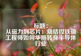 标题：
从磁力到芯片：烧结钕铁硼工程师如何华丽转身半导体行业