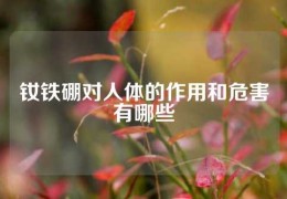 钕铁硼对人体的作用和危害有哪些