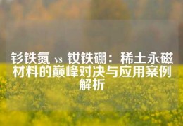 钐铁氮 vs 钕铁硼：稀土永磁材料的巅峰对决与应用案例解析