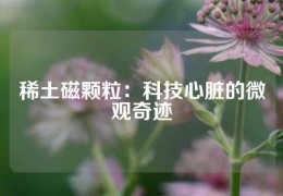 稀土磁颗粒：科技心脏的微观奇迹