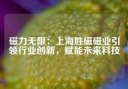 磁力无限：上海胜磁磁业引领行业创新，赋能未来科技