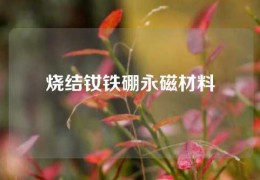 烧结钕铁硼永磁材料