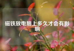 磁铁放电脑上多久才会有影响