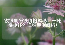 钕铁硼磁铁价格揭秘：一吨多少钱？详细案例解析！