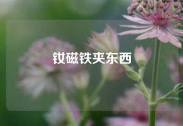 钕磁铁夹东西