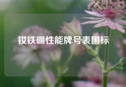 钕铁硼性能牌号表国标