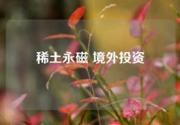 稀土永磁 境外投资