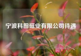 宁波科田磁业有限公司待遇