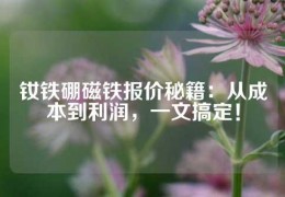 钕铁硼磁铁报价秘籍：从成本到利润，一文搞定！