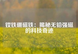 钕铁硼磁铁：揭秘无铅强磁的科技奇迹