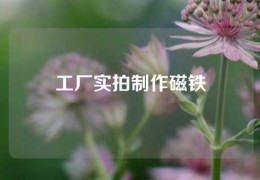 工厂实拍制作磁铁