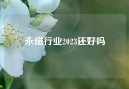 永磁行业2023还好吗