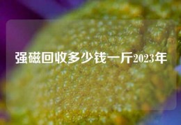 强磁回收多少钱一斤2023年