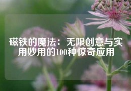 磁铁的魔法：无限创意与实用妙用的100种惊奇应用