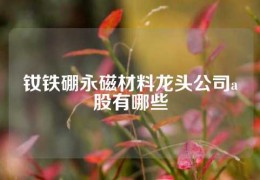 钕铁硼永磁材料龙头公司a股有哪些