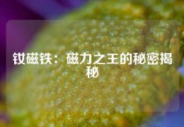 钕磁铁：磁力之王的秘密揭秘