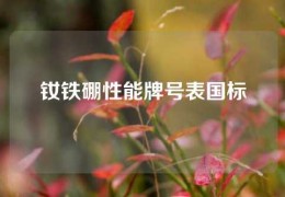 钕铁硼性能牌号表国标