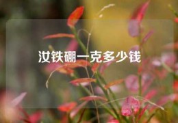 汝铁硼一克多少钱