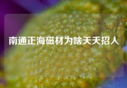 南通正海磁材为啥天天招人