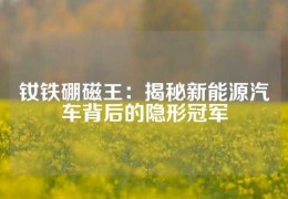 钕铁硼磁王：揭秘新能源汽车背后的隐形冠军