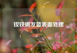 钕铁硼发蓝表面处理