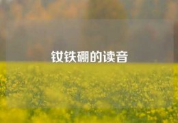 钕铁硼的读音