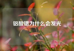 铝酸锶为什么会发光