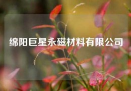 绵阳巨星永磁材料有限公司