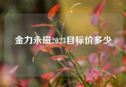 金力永磁2023目标价多少