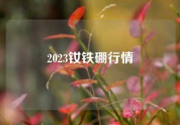 2023钕铁硼行情