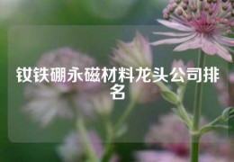 钕铁硼永磁材料龙头公司排名