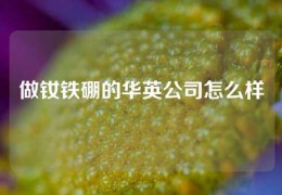 做钕铁硼的华英公司怎么样