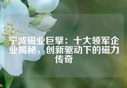 宁波磁业巨擘：十大领军企业揭秘，创新驱动下的磁力传奇