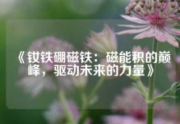 《钕铁硼磁铁：磁能积的巅峰，驱动未来的力量》