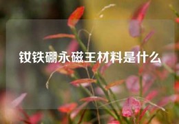 钕铁硼永磁王材料是什么