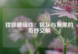 钕铁硼磁铁：银灰与灰黑的奇妙交响