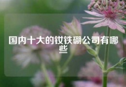 国内十大的钕铁硼公司有哪些