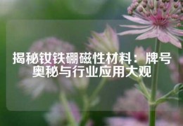 揭秘钕铁硼磁性材料：牌号奥秘与行业应用大观