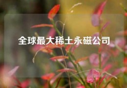 全球最大稀土永磁公司