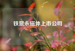 铁氮永磁体上市公司