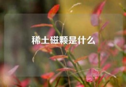 稀土磁颗是什么