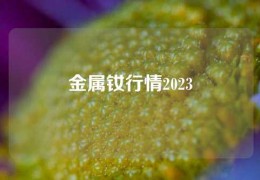 金属钕行情2023