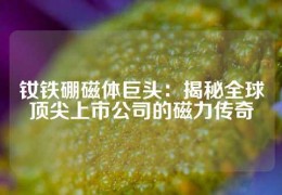 钕铁硼磁体巨头：揭秘全球顶尖上市公司的磁力传奇