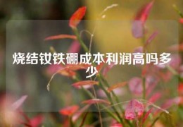 烧结钕铁硼成本利润高吗多少