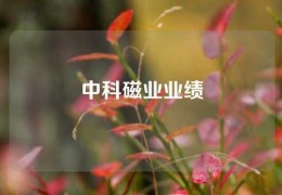 中科磁业业绩