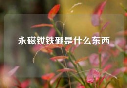 永磁钕铁硼是什么东西