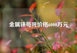 金属铼每吨价格6000万元