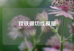 钕铁硼切线模量